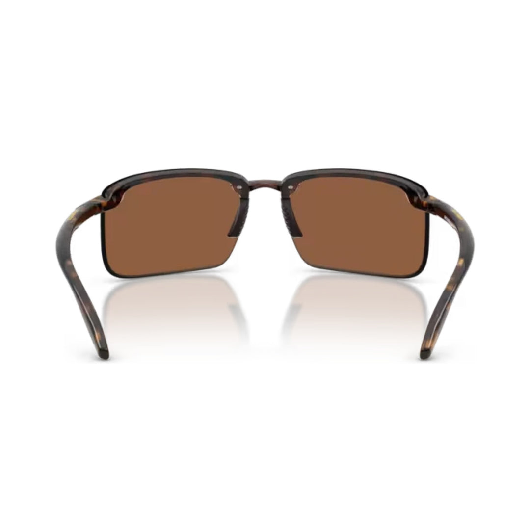 Arnette | AN4383 | Havana