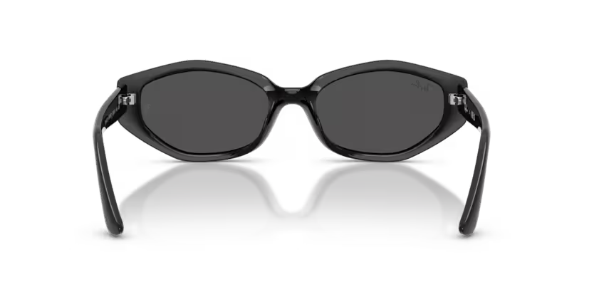 Ray-Ban | RB4473D | Black Dark Grey
