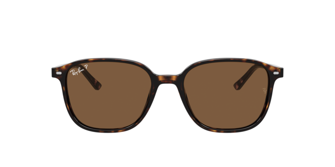 Ray-Ban | RB2193 Leonard M | Tortoise Brown Polarised