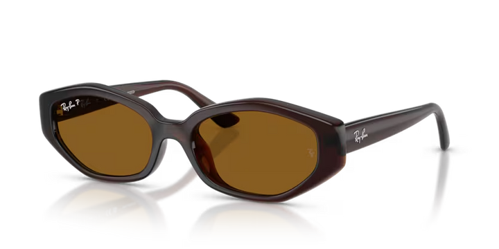 Ray-Ban | RB4473D | Dark Brown Dark Brown Polarised
