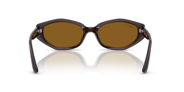 Ray-Ban | RB4473D | Dark Brown Dark Brown Polarised