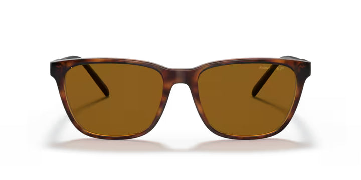 Arnette | AN4291 Cortex | Dark Havana Polarised