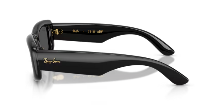 Ray-Ban | RB4944 | Black Ultra