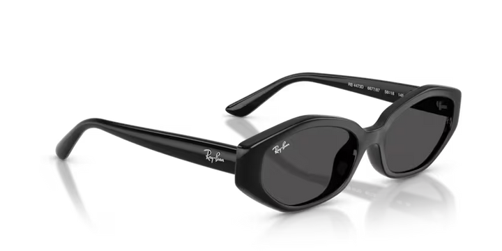 Ray-Ban | RB4473D | Black Dark Grey