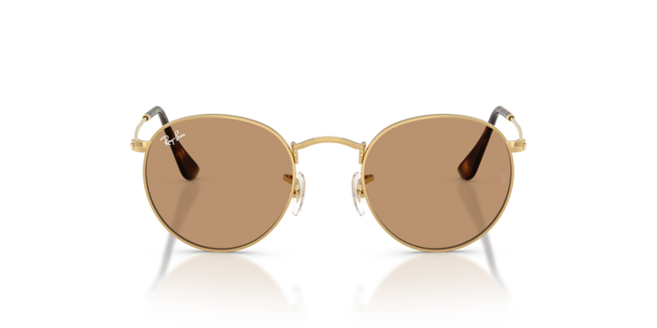 Ray-Ban | Round Metal RB3447 | Arista Brown