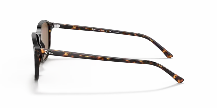 Ray-Ban | RB2193 Leonard M | Tortoise Brown Polarised