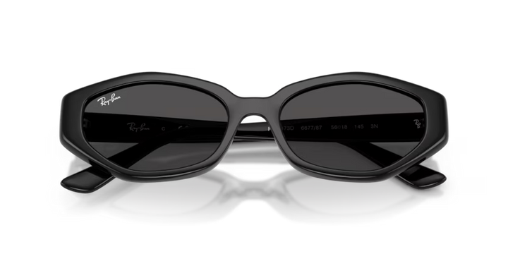 Ray-Ban | RB4473D | Black Dark Grey