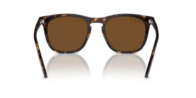 Ray-Ban | RB2210F | Havana Brown Polarised