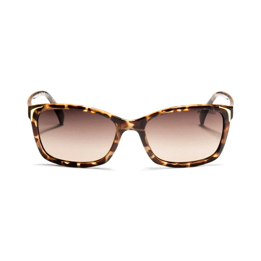 Locello | 3320E Little Leticia | Tort Brown
