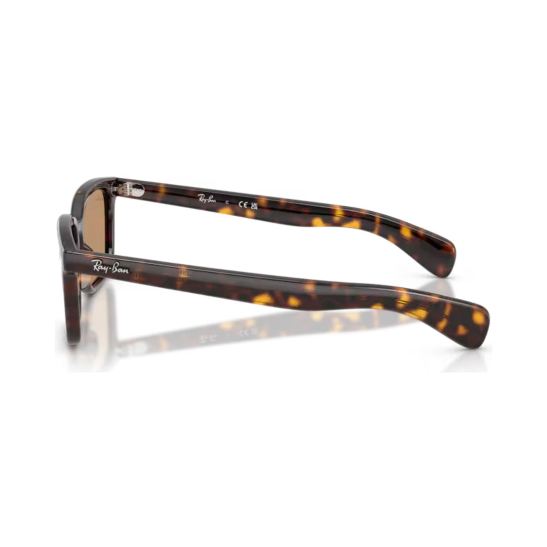 Ray-Ban | RB2234 Brunel | Havana