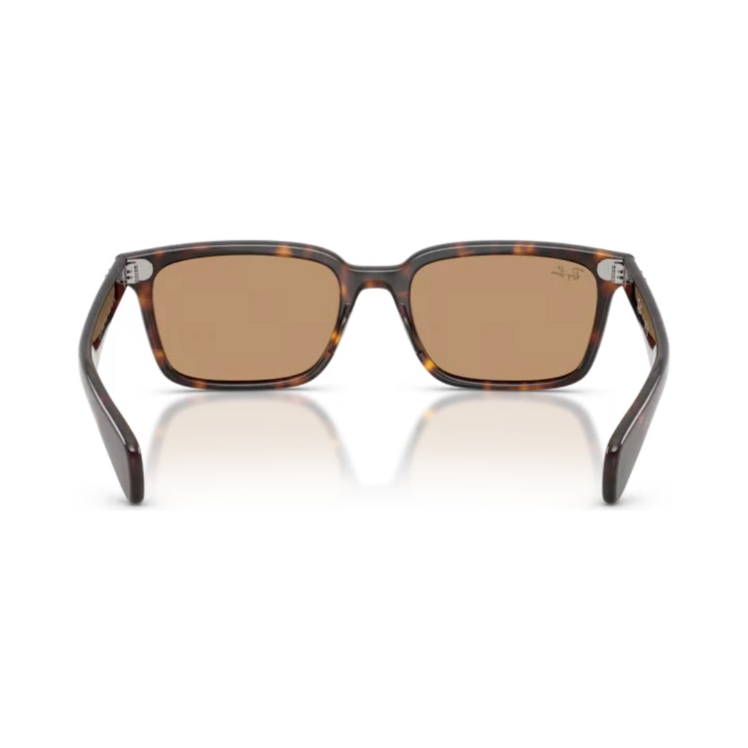 Ray-Ban | RB2234 Brunel | Havana