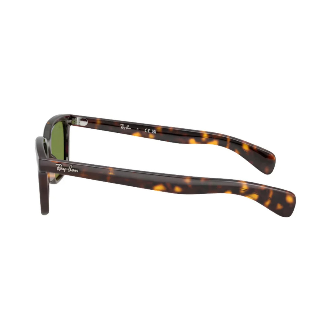 Ray-Ban | RB2234 Brunel L | Havana Green