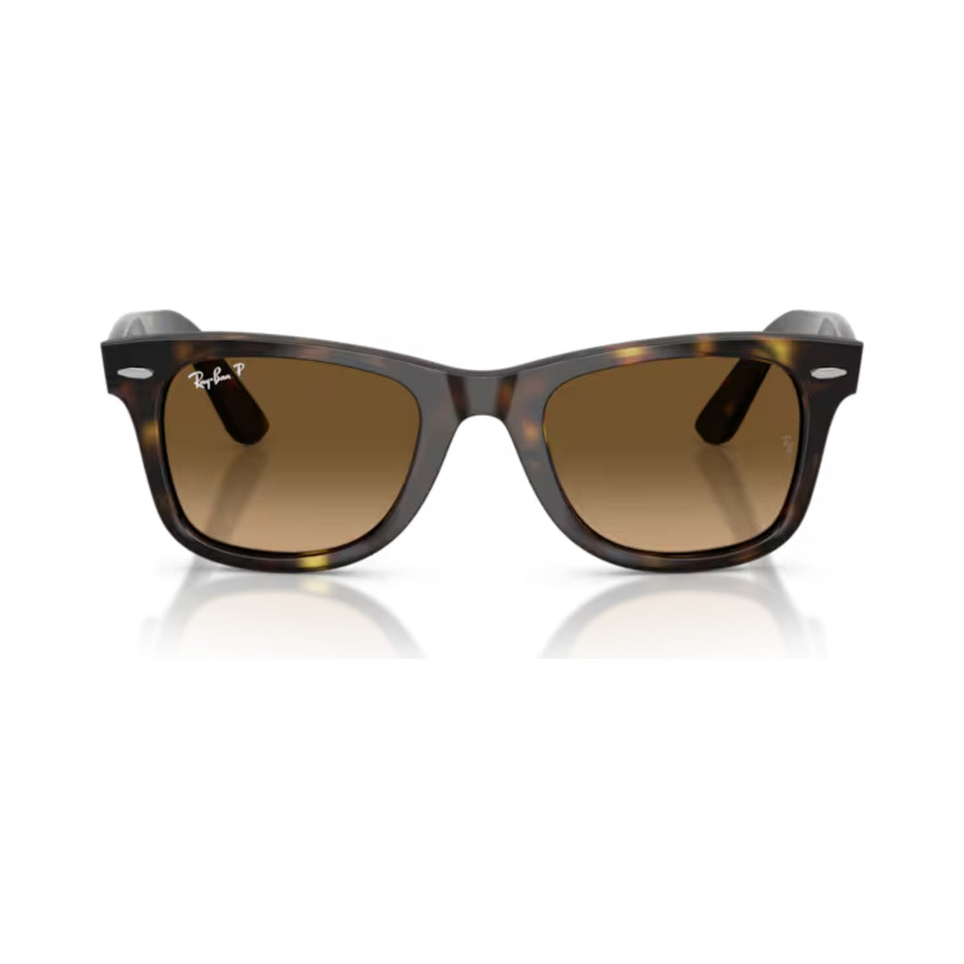 Ray-Ban | RB4340 Wayfarer | Havana Brown Gradient Polarised