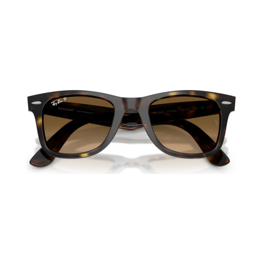 Ray-Ban | RB4340 Wayfarer | Havana Brown Gradient Polarised