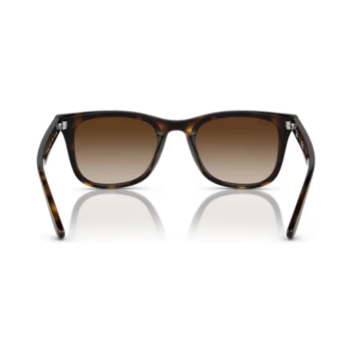 Ray-Ban | RB4420 | Havana Brown Gradient