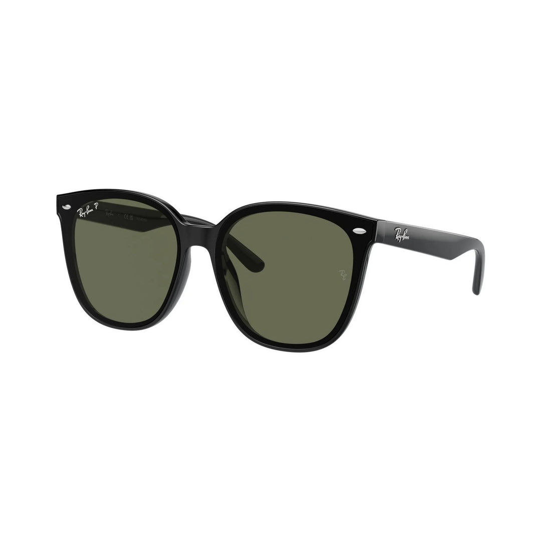 Ray-Ban | RB4423D | Black Dark Green Polarised