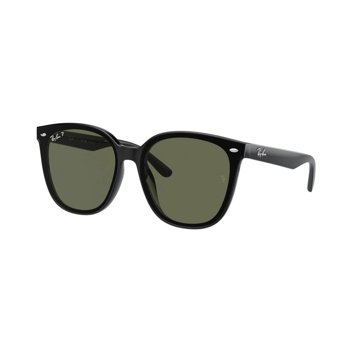 Ray-Ban | RB4423D | Black Dark Green Polarised