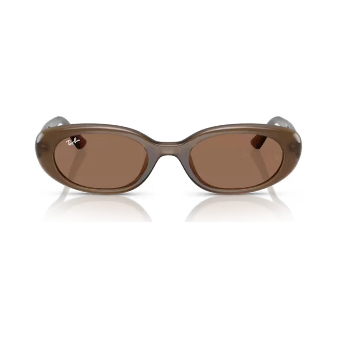 Ray-Ban | RB4441D | Opal Brown Dark Brown
