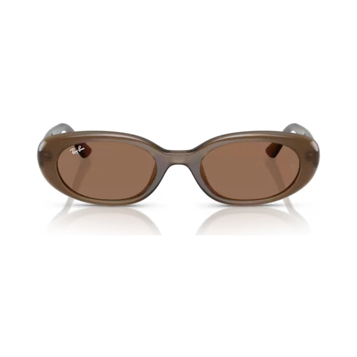 Ray-Ban | RB4441D | Opal Brown Dark Brown