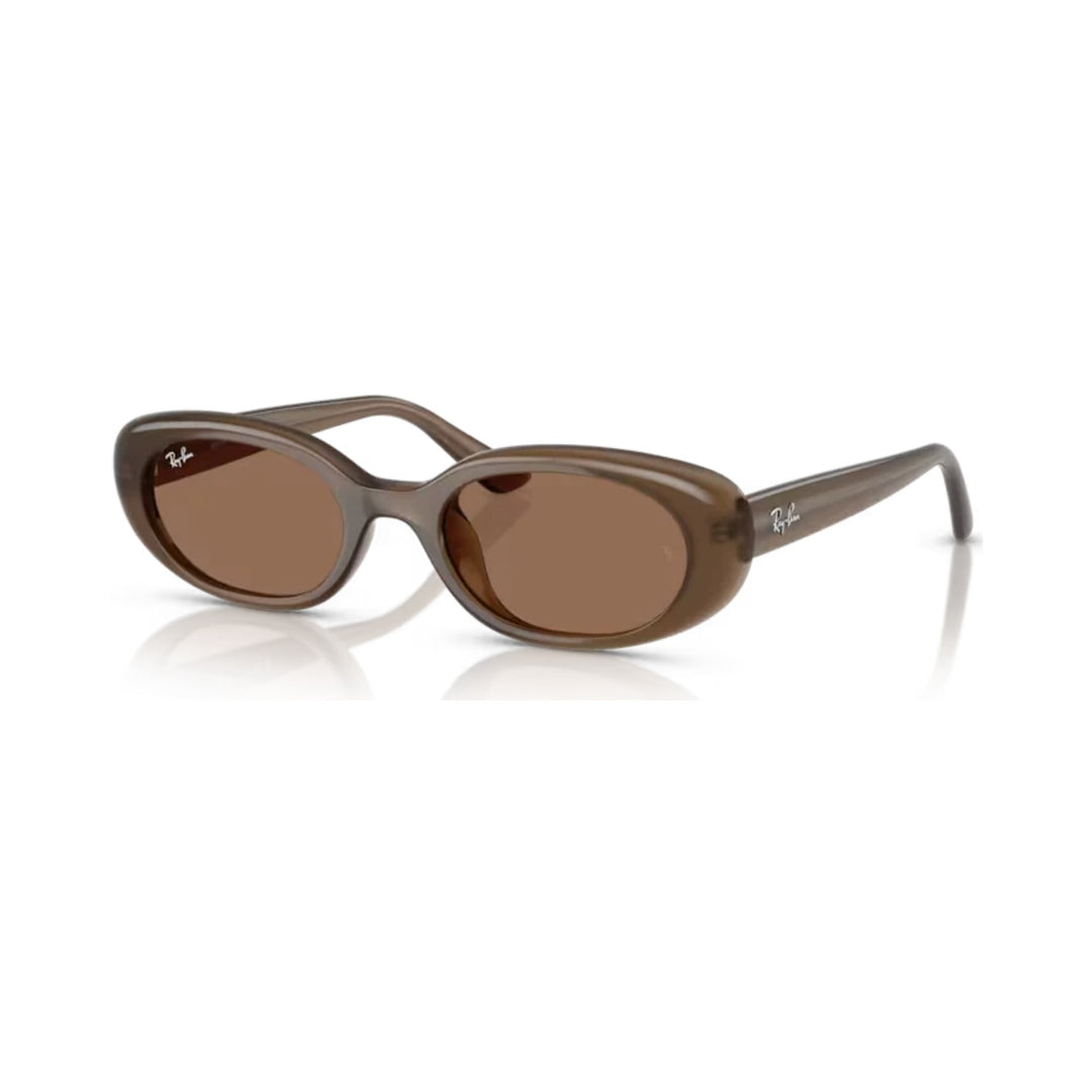 Ray-Ban | RB4441D | Opal Brown Dark Brown
