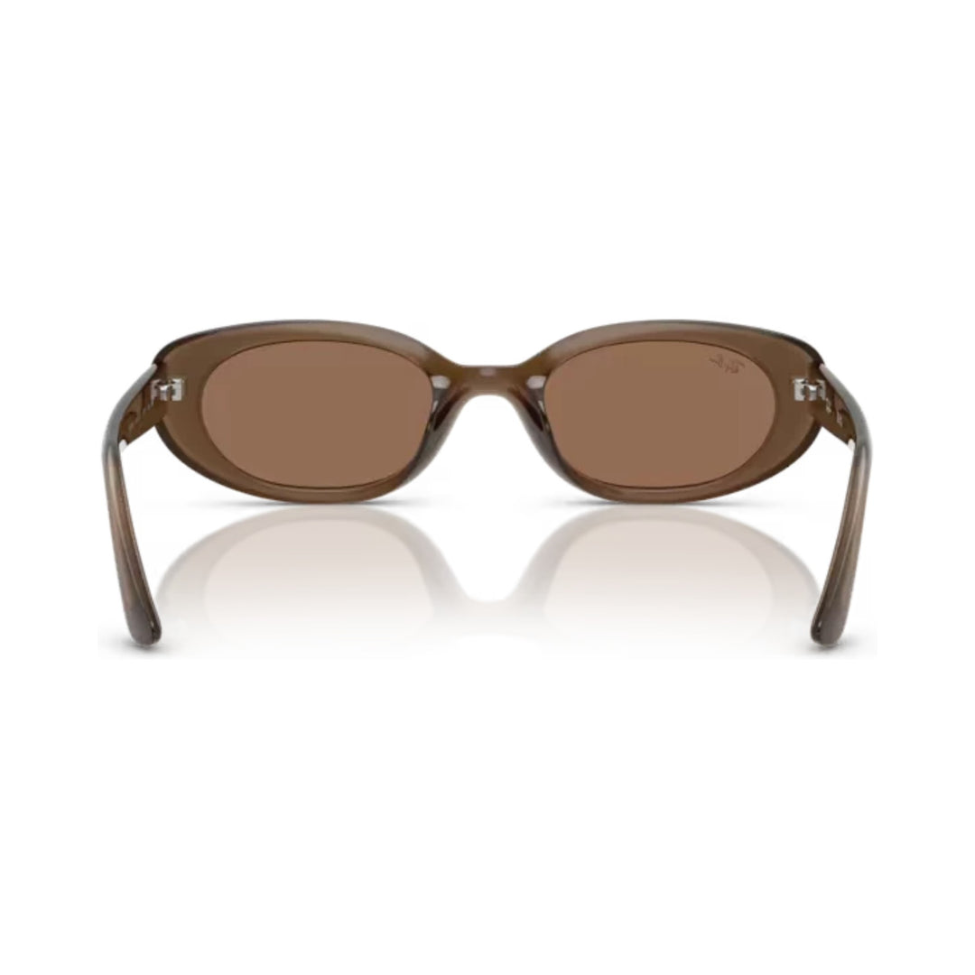 Ray-Ban | RB4441D | Opal Brown Dark Brown