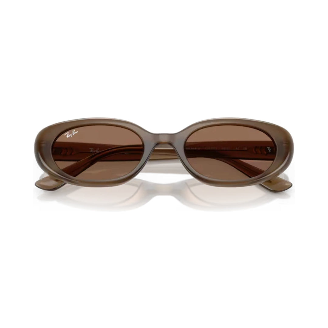 Ray-Ban | RB4441D | Opal Brown Dark Brown