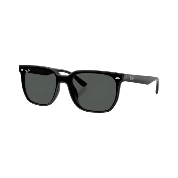 Ray-Ban | RB4466D | Black Dark Grey