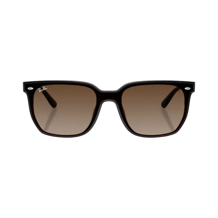 Ray-Ban | RB4466D | Transparent Dark Brown
