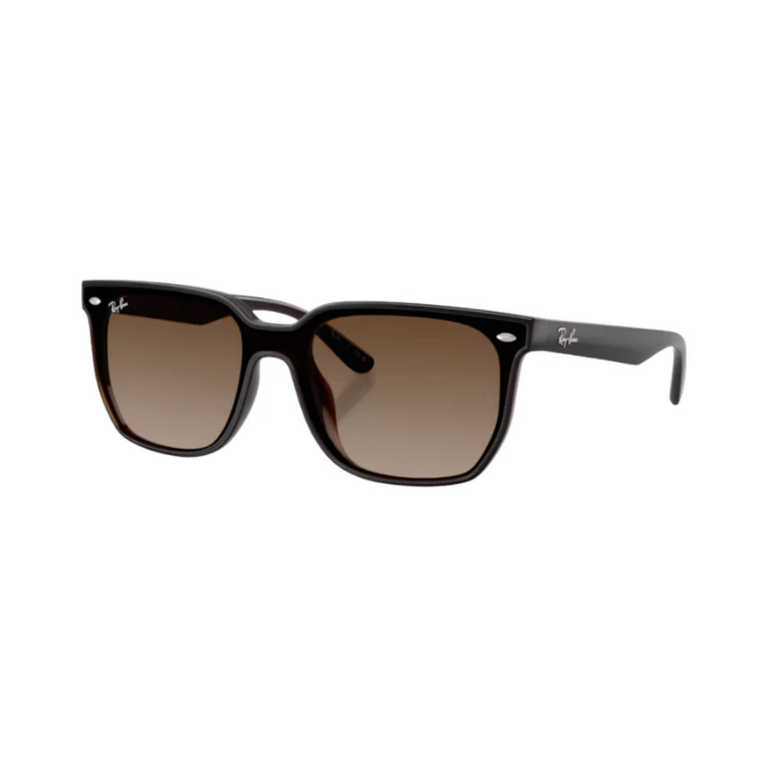 Ray-Ban | RB4466D | Transparent Dark Brown