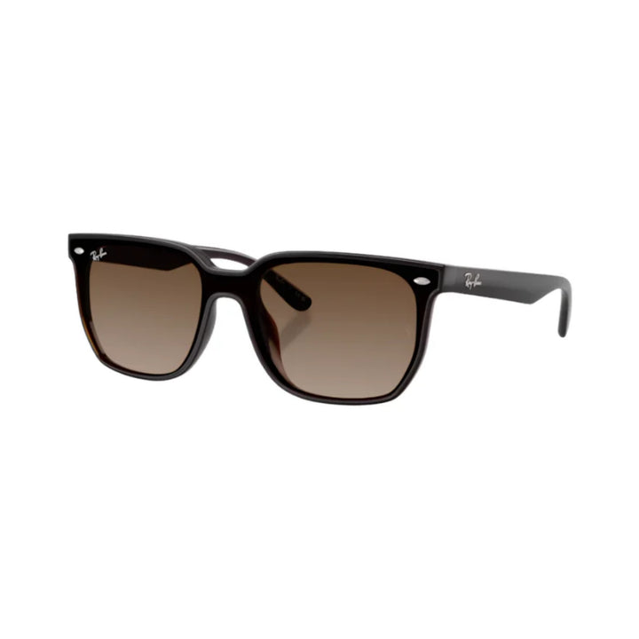 Ray-Ban | RB4466D | Transparent Dark Brown