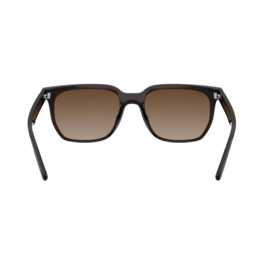 Ray-Ban | RB4466D | Transparent Dark Brown