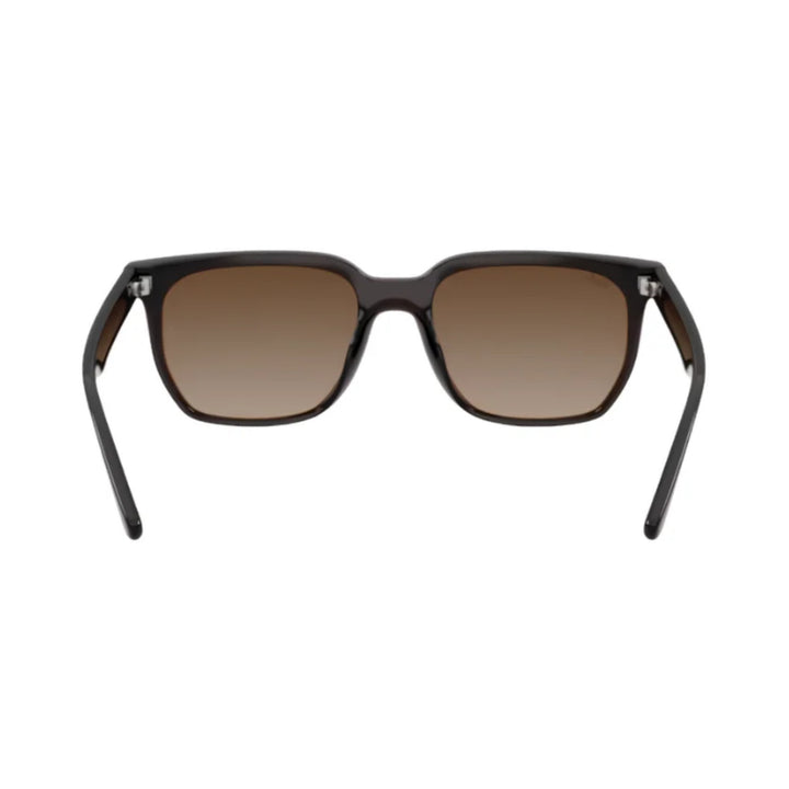 Ray-Ban | RB4466D | Transparent Dark Brown