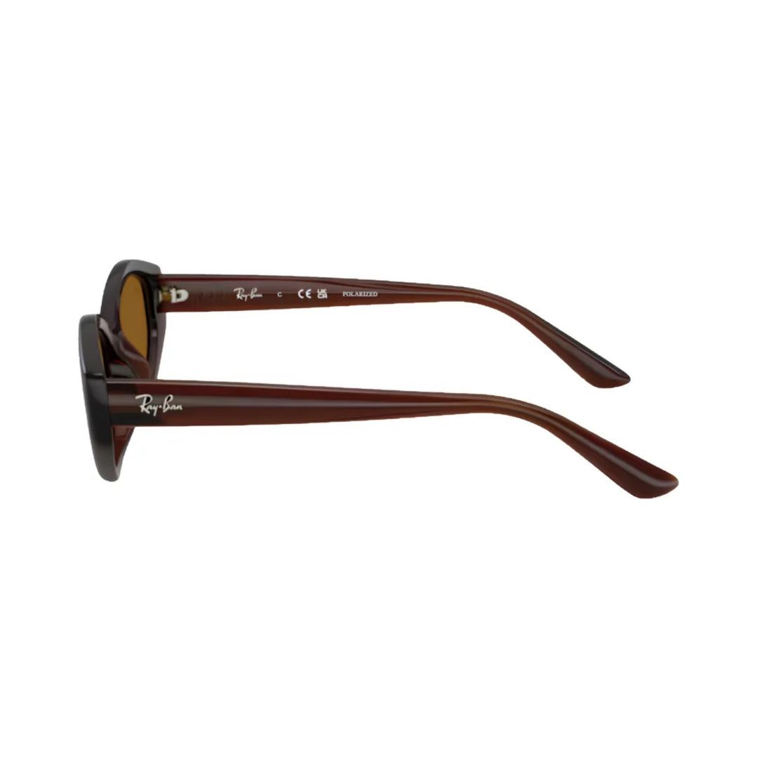 Ray-Ban | RB4473D | Dark Brown Polarised
