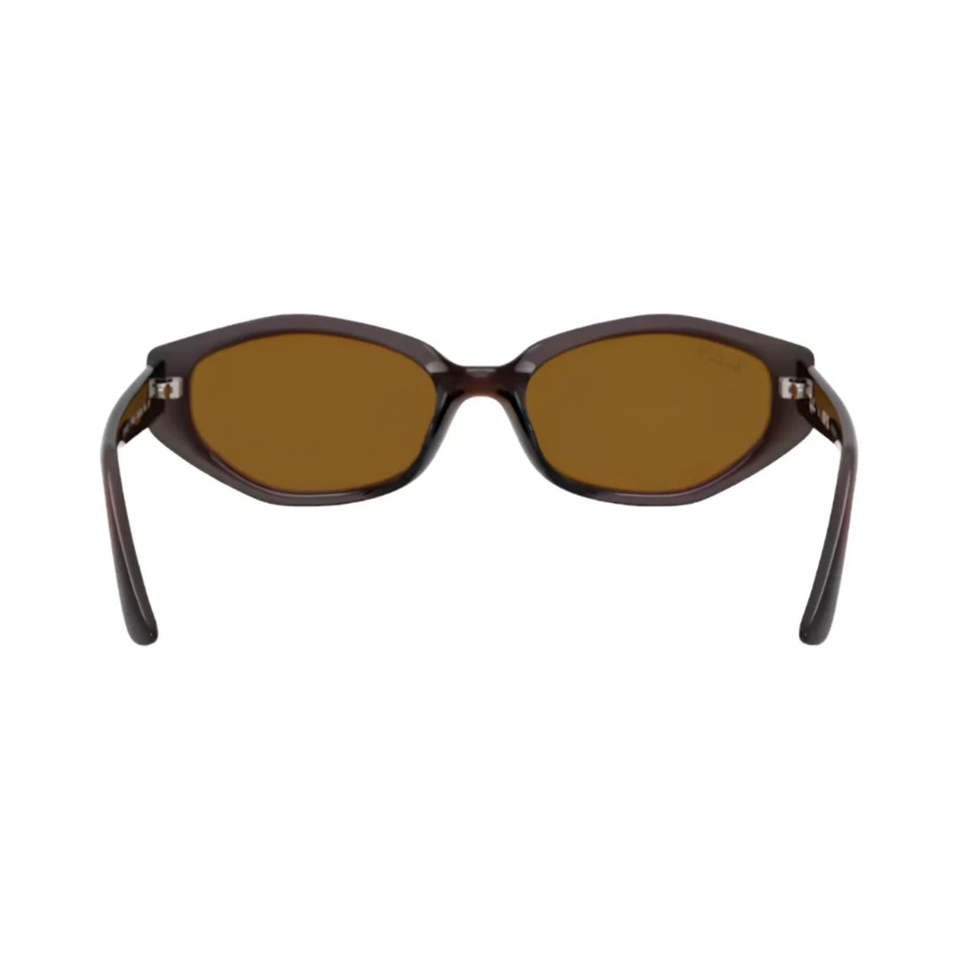 Ray-Ban | RB4473D | Dark Brown Polarised