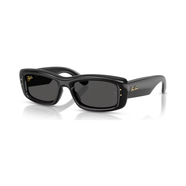 Ray-Ban | RB4944 | Black Ultra