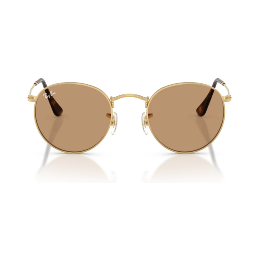 Ray-Ban | Round Metal RB3447 | Arista Brown