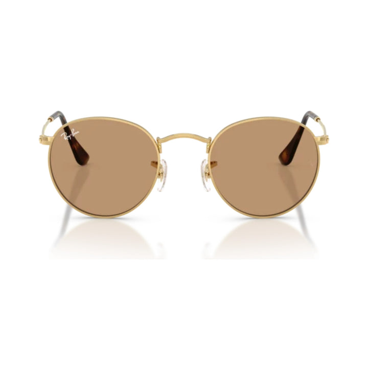 Ray-Ban | Round Metal RB3447 | Arista Brown