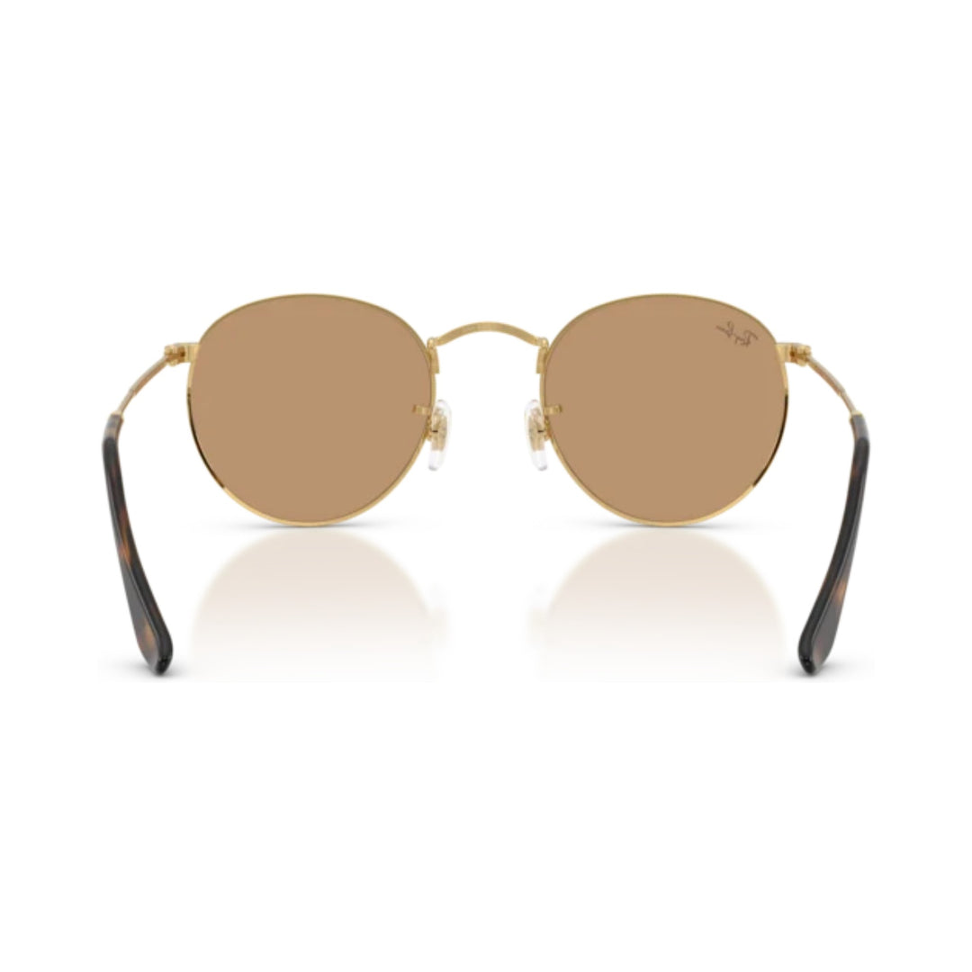 Ray-Ban | Round Metal RB3447 | Arista Brown