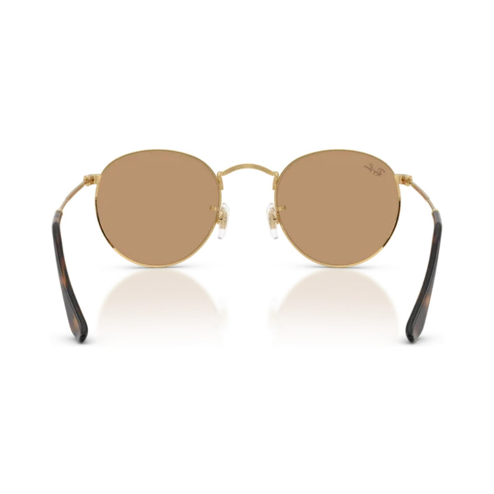 Ray-Ban | Round Metal RB3447 | Arista Brown