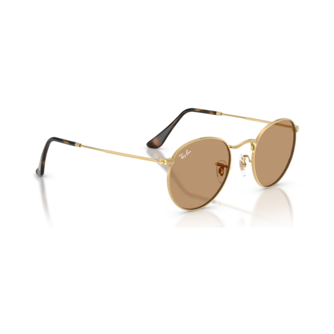 Ray-Ban | Round Metal RB3447 | Arista Brown