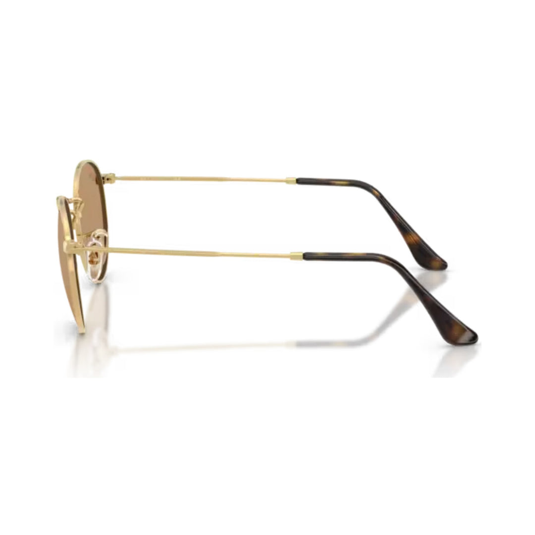 Ray-Ban | Round Metal RB3447 | Arista Brown