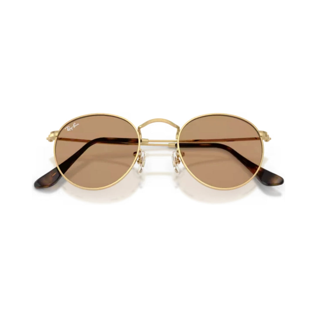 Ray-Ban | Round Metal RB3447 | Arista Brown