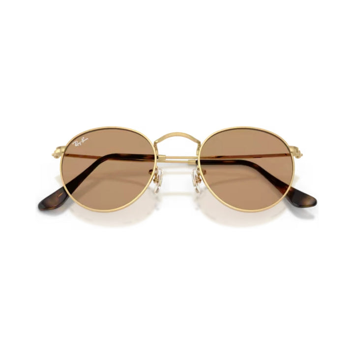 Ray-Ban | Round Metal RB3447 | Arista Brown